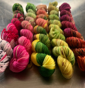 Tropical Fruit Mini Set (Kittens) - Nomad Sock