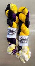 Load image into Gallery viewer, Nonbinary - Nomad Sock Yarn